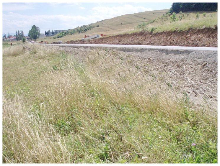 Teren 6,750mp Codlea / DN dn1 - 5