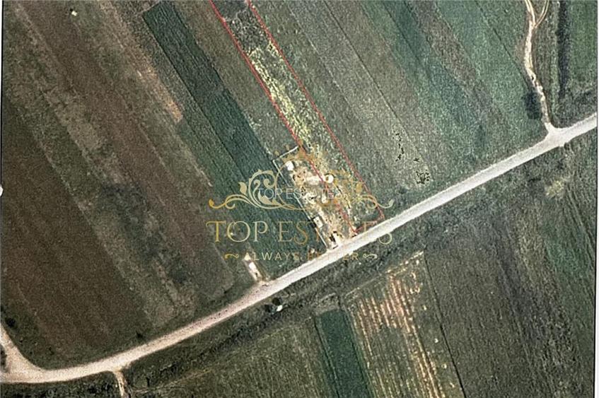 Vanzare Teren intravilan, 555 mp,  Sat Ordoreanu, Clinceni - Ilfov - 2