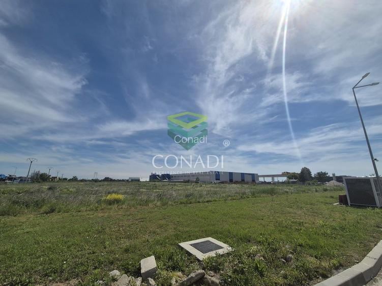 Teren - A1 -  KM 23 - Bolintin Deal - 30.994 mp - 3