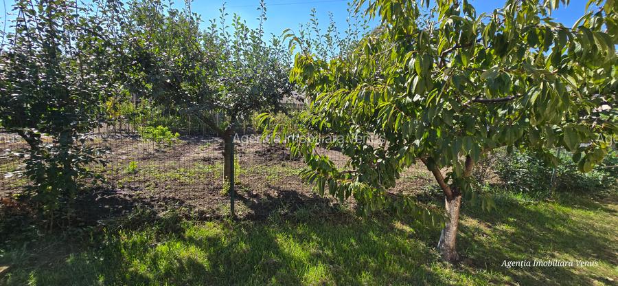 Casa cu etaj in Catamarasti Deal - 18