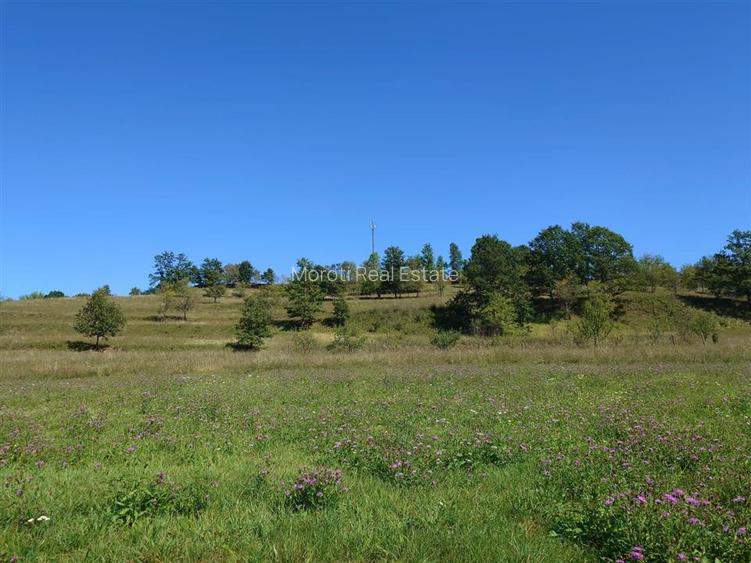 Teren intravilan 8757 mp cu acces direct la E79 - 6