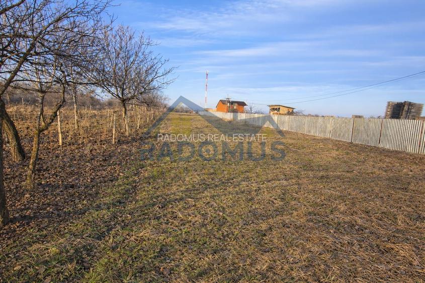 Teren intravilan 2.150 mp, deschidere 17 m – Albești-Paleologu - DN 1B - 4