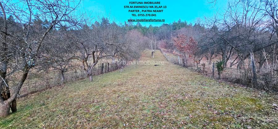 Casa+Anexa+Teren 1785 mp, la 5 minute de oras - 3