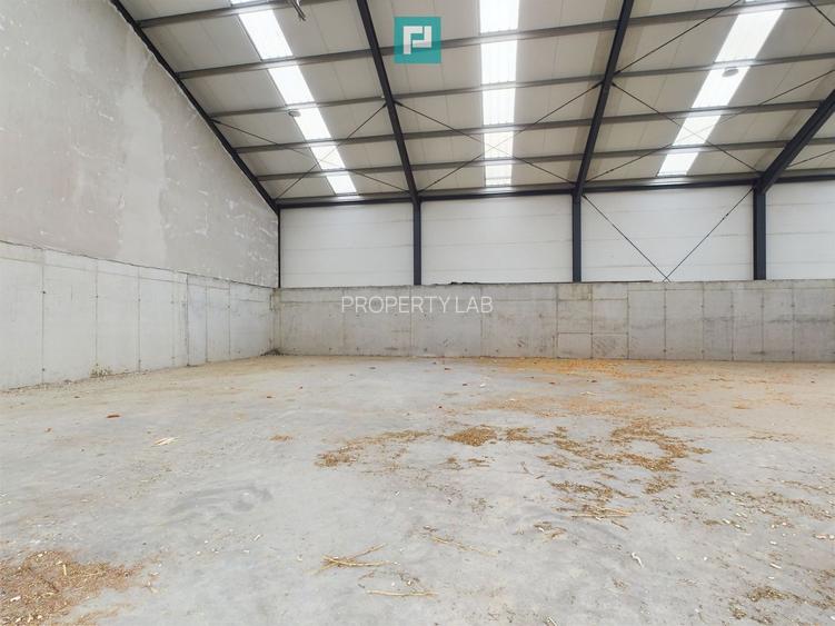 Hală industrială de 411mp Jebel, Timiș - 3