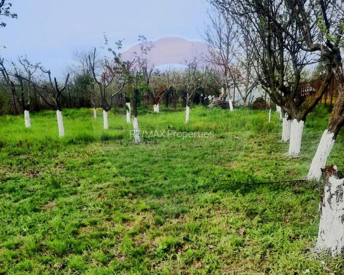 Casă de vânzare cu livadă și piscină – Giurgiu - 21