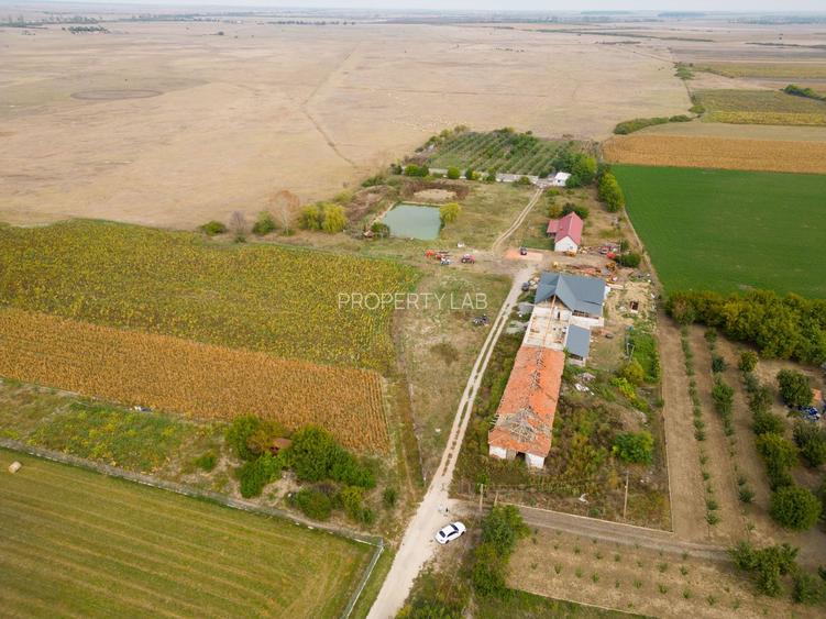 Teren intravilan cu iazuri și casă - Chișineu-Criș - 16