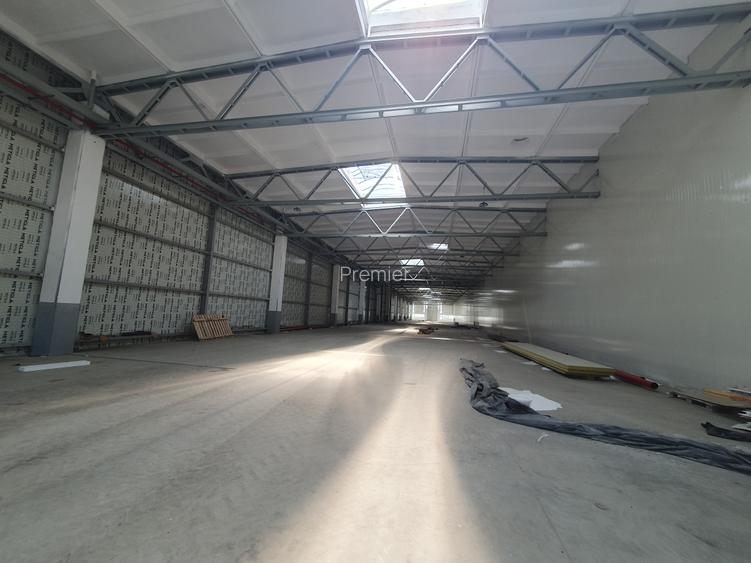 Hala 1200 mp, 4,50 e/mp - 2