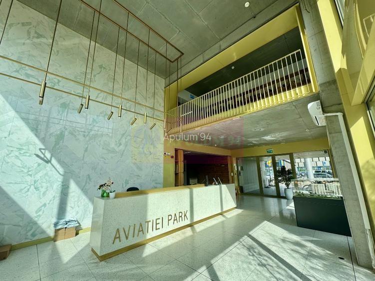 Herastrau_Aviatiei Park 2 camere - 10