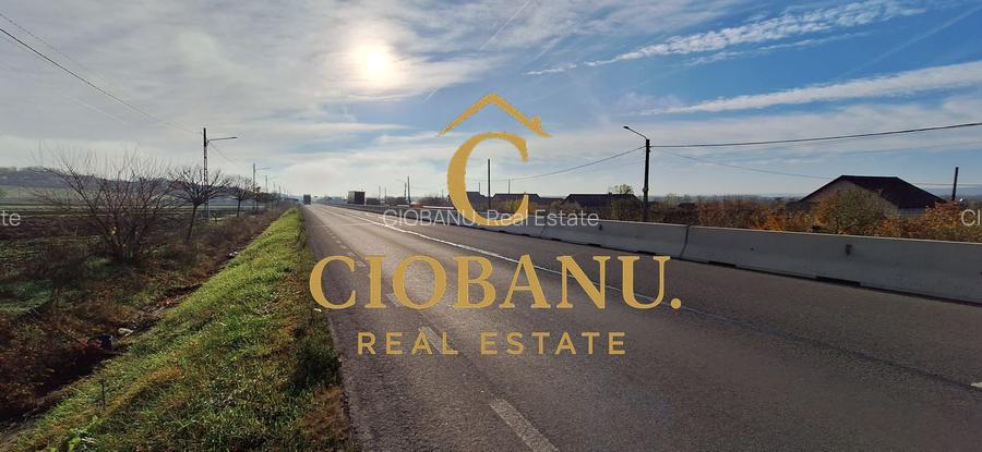 Hala de vanzare in Racarii de Jos - 18