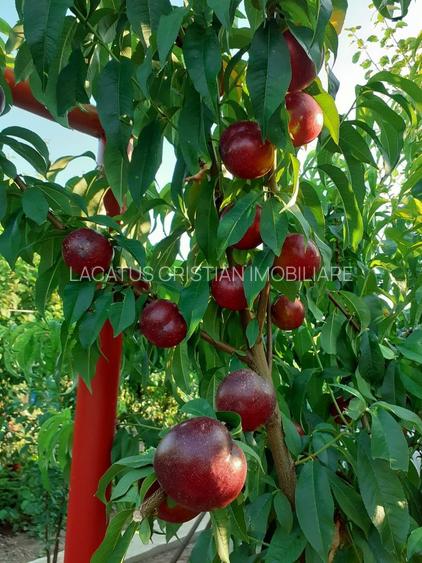 VILA UNICAT ULTRALUX P+1 +CASA CU TEREN 1412MP ZONA PALAZU MARE - 24