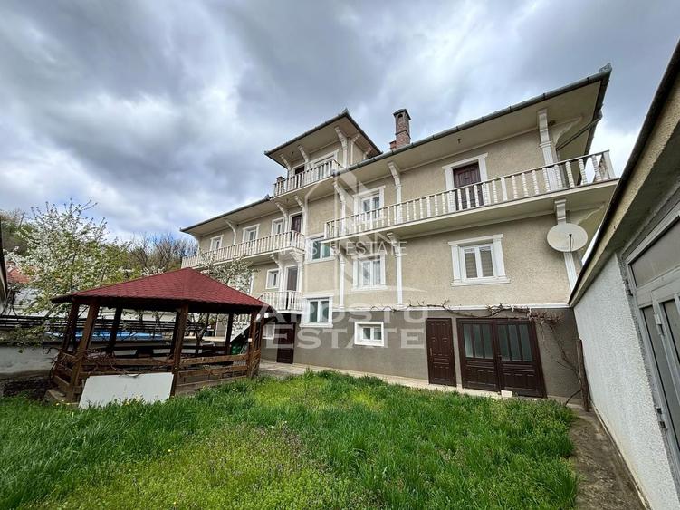 Vila unica, 520 utili, in inima judetului Caras-Severin - 3