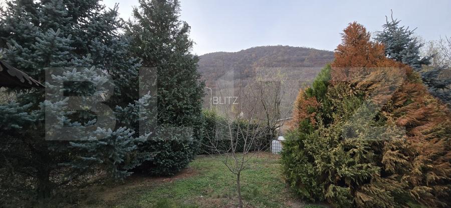 Casa deosebita cu 3 dormitoare si jacuzzi, aproape de statiunea Baile Herculane - 4