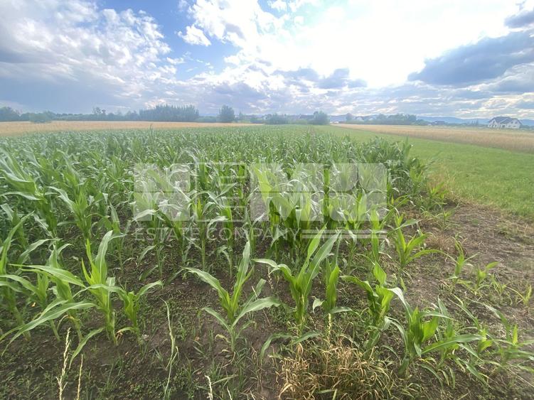 Teren Intravilan | 20 Ari | Frătăuții Noi