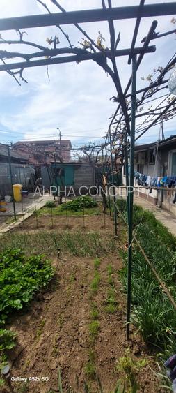 Km 4-1 Mai Vechi-casa 2corpuri+teren 300mp/15ml - 5