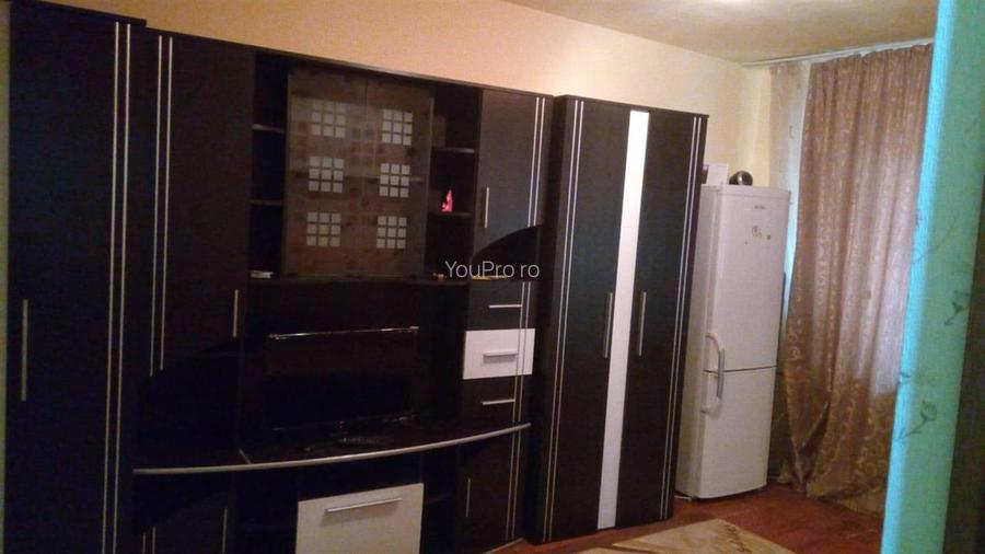 Garsoniera Parter Cu Baie Si Bucatarie Din Constructie/ Buziasului - 3