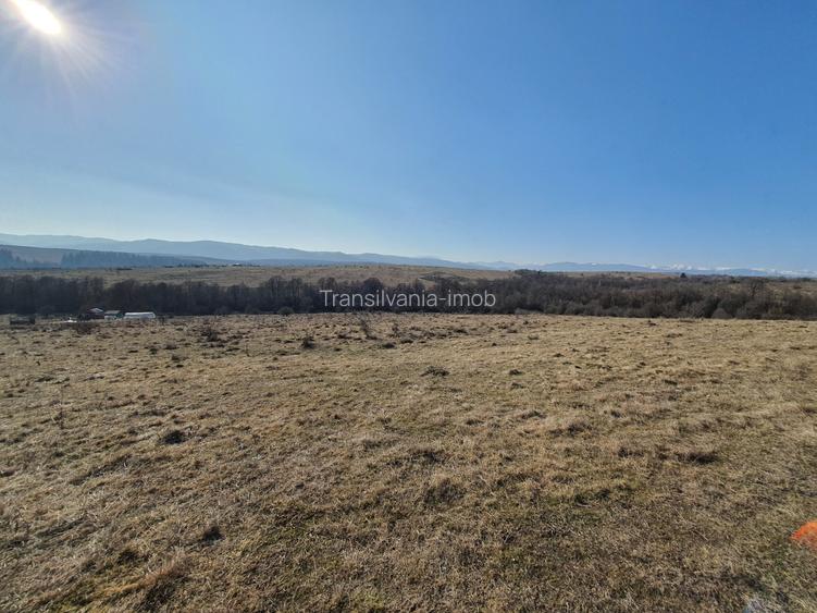 Teren Codlea – Vladeni zona de case cu Puz - 5