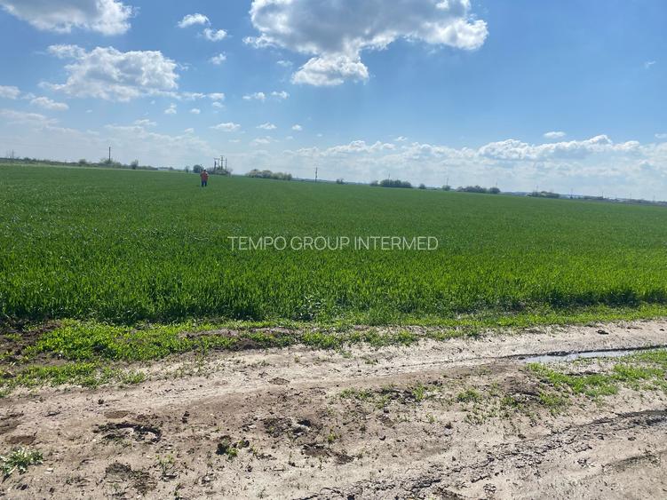 Sabareni - Certificat de Urbanism - 5808mp teren pentru investitie !! - 22