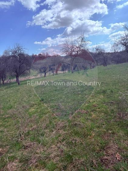 Teren 6,377mp Harnicesti / Strada Principala - 4