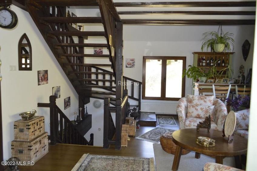 Topoloveni - Conacul Ion Mihalache, Domeniu pe 5 Hectare! - 25