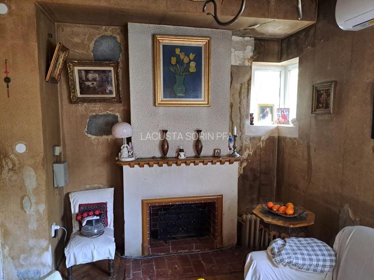 Cotroceni-Parcul Romniceanu, singur curte, garaj, curte generoasa - 19