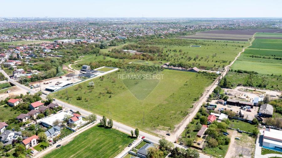 Teren intravilan 10,000mp Domnesti / Soseaua Curtea Domneasca - 2