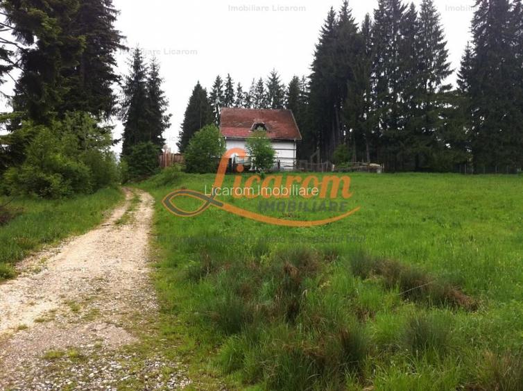 Teren intravilan Cotul Donului,pretabil Hotel/pensiune. - 15