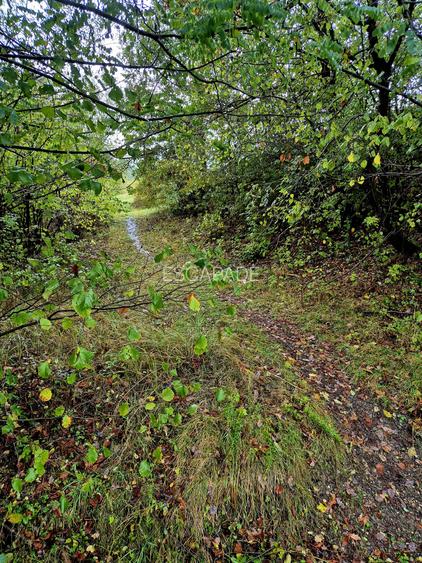Comision 0%, teren extravilan 12497 mp Sinca Noua - 32