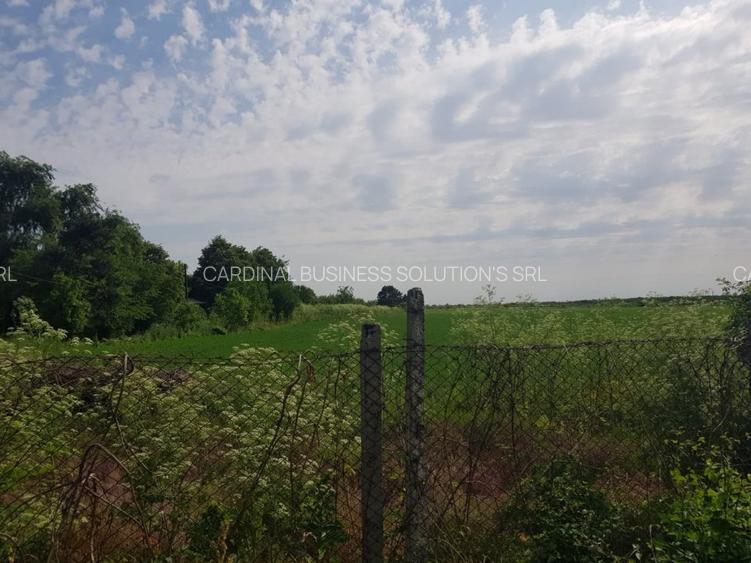 Mogosesti, teren intravilan 37 ha/d=800 m,  dezvoltare proiect rezidential - 7