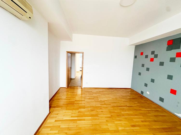 Bd Unirii apartament/birou  spatios  (110 mp+ terasa de 38mp) - 5