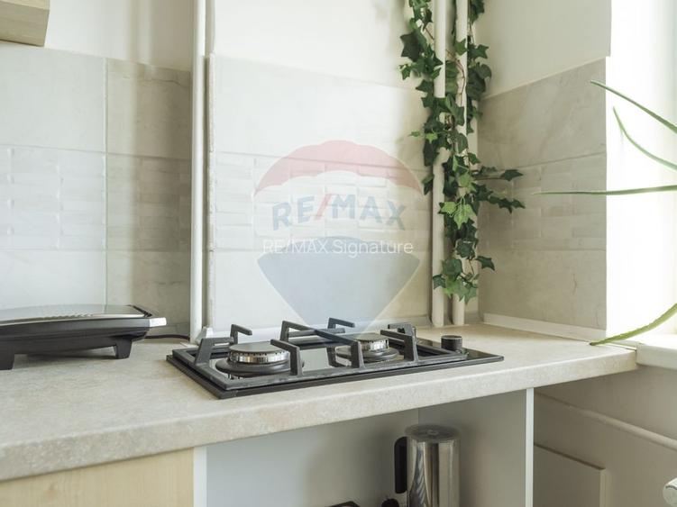 De inchiriat Apartament cu 3 camere în zona P-ta Alba Iulia - 28