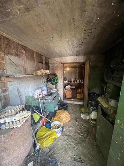 RECO, Casa cu 9168 mp teren intravilan, Sistera, Cetariu, Aproape de Oradea - 21