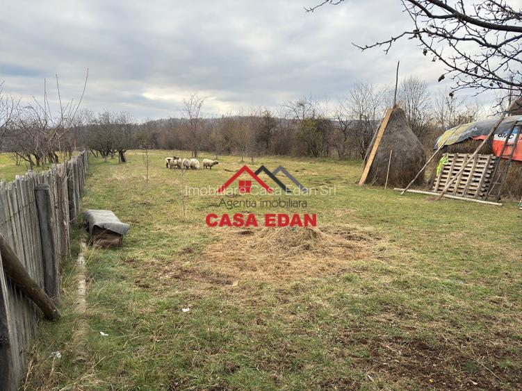 Teren intravilan in Brebu--2080mp--22e - 5