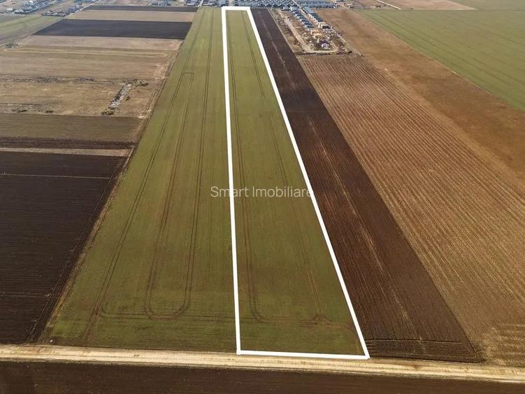 Teren constructii 4ha Tarlungeni - 7