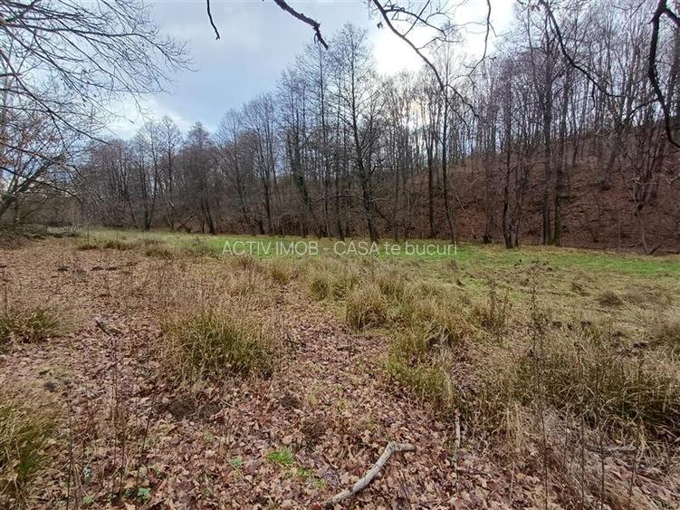 Resita, Teren Drept Intravilan, Langa Prau si Drum, Parcelabil, 4500 Mp., 15 Eur - 13