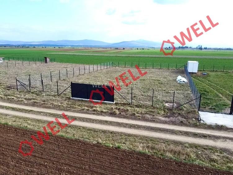 Teren intravilan de vânzare în Angheluș! - 5