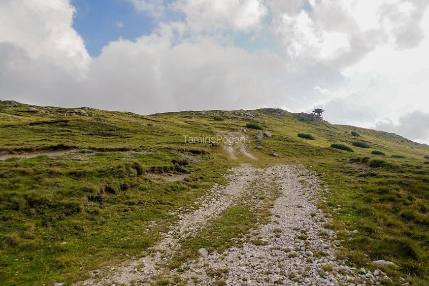 terenuri in Bucegi, Zona Alpina Inalta, pentru dezvoltare cabane, vile turistice - 14