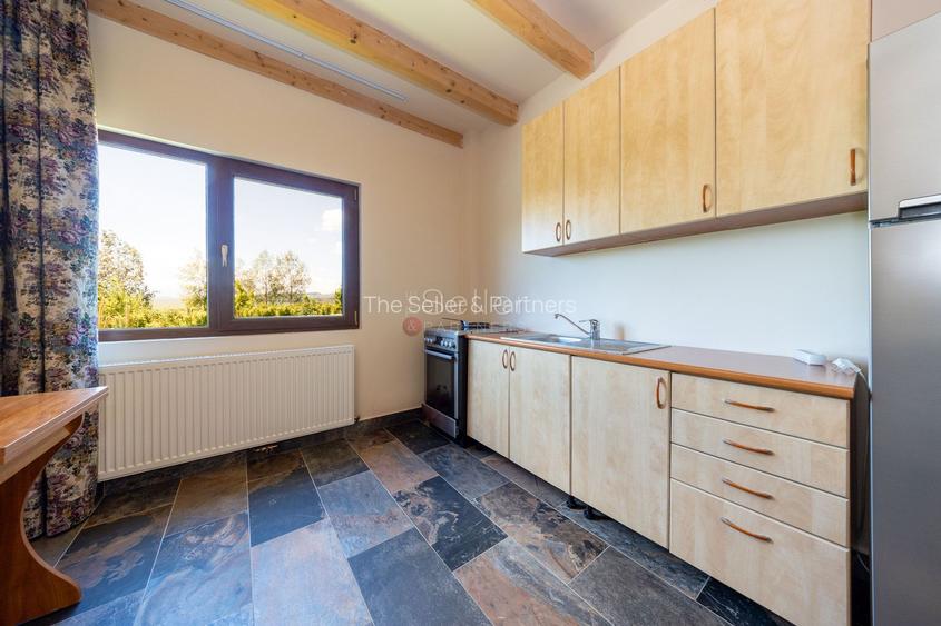 PROPRIETATE CU LIVADA MATURA DE NUCI SI POTENTIAL INVESTITIONAL - 23