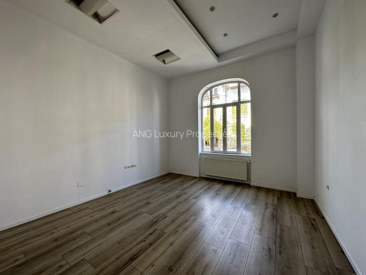 Vila Impozanta Langa Parcul Gradina Icoanei - 12