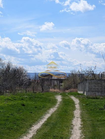 TEREN INTRAVILAN, SERBANESTI - 2