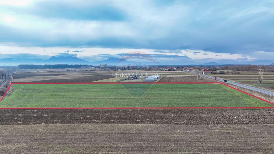 Teren 5,300mp Prejmer / DN11 Brașov-Covasna - 6