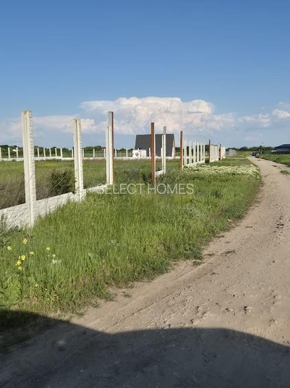 Teren Intravilan 497mp de Vanzare Padurisu *Calarasi* - 7