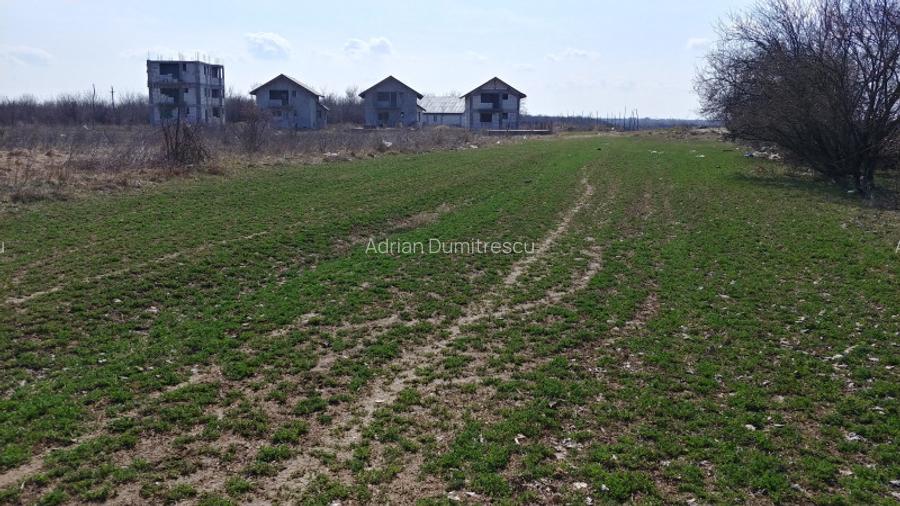 Teren intravilan Măgurele langa padurea Cornetu si Arges - 10