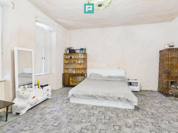 Casă cu grădină mare la 30 km de Timișoara - 9