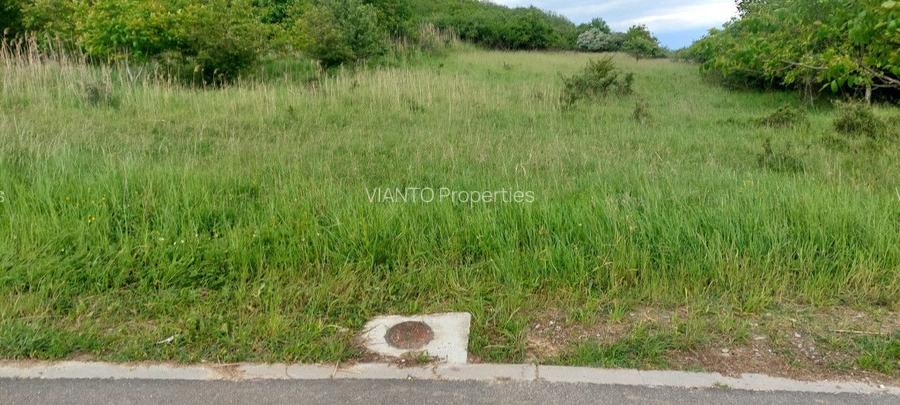 TEREN VEDERE PANORAMICA SIBIU | INTRAVILAN GUSTERITA - 4