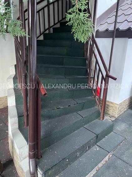 Parc Carol Vila 9 Camere - 2