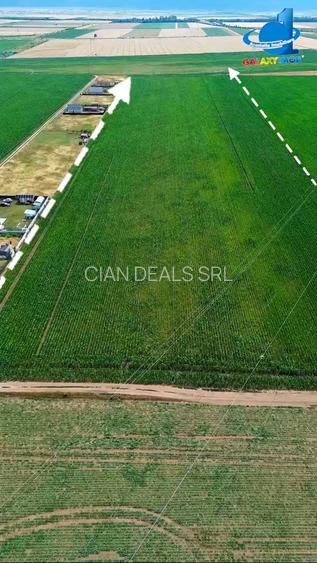 Teren Intravilan Cu PUZ Harman 32100 MP - 4