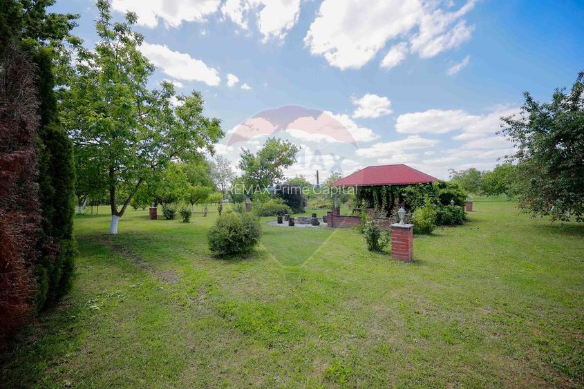 De vânzare fermă multifuncțională, teren 53883 mp - Salonta - 13