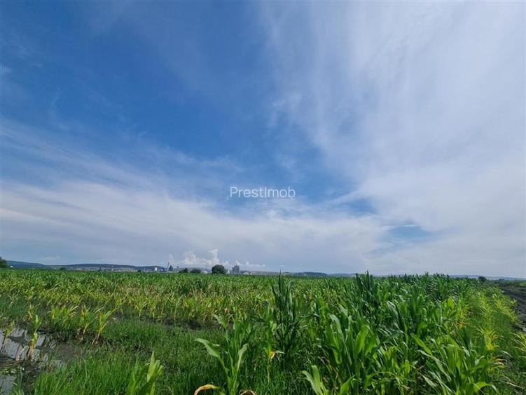 Parcele de vanzare de aprox 5 arii, 50 euro mp , Nazna, - 3