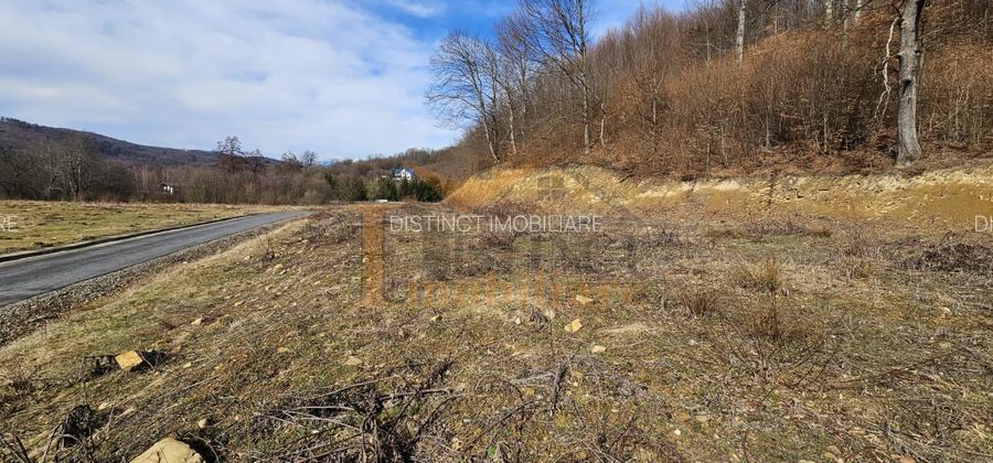 Vanzare teren 3200 mp, Cheile Rasnoavei, str. Cheisoara - 3