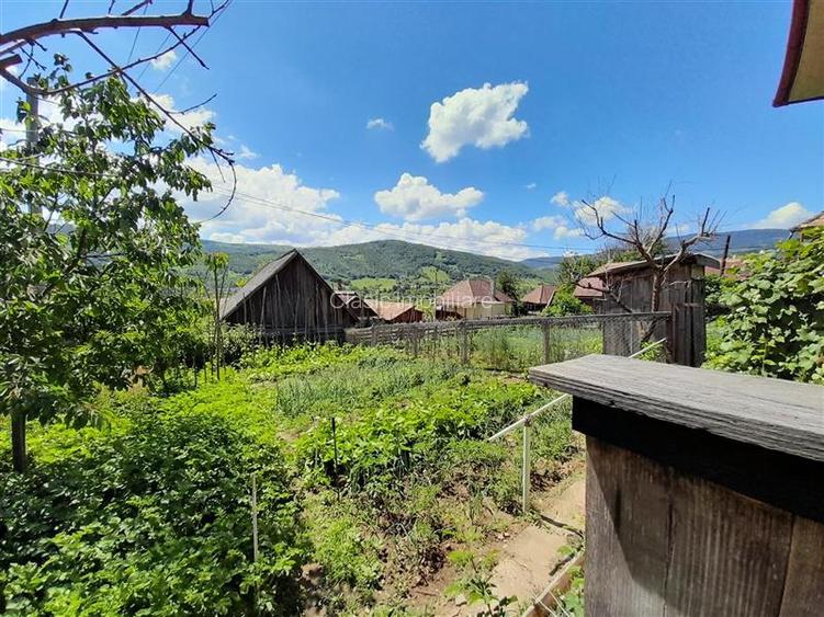Vanzare casa cu anexe si 5500 mp teren, Valea Ariesului, Salciua - 7